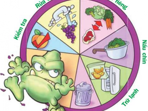 Vệ sinh an toàn thực phẩm Vệ sinh an toàn thực phẩm
